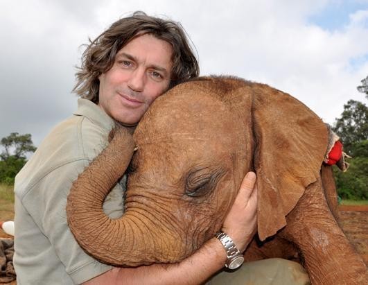 Elefante al cinema